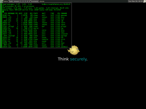 OpenBSD 5.5 mit awesome