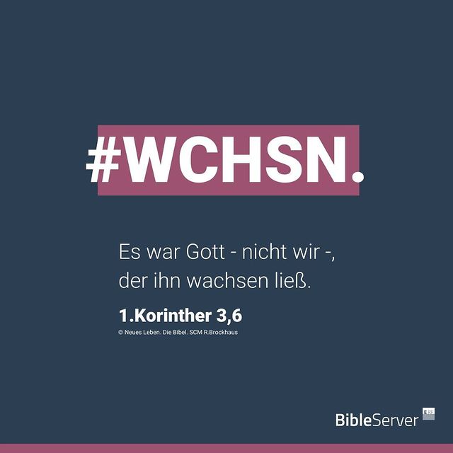#WCHSN - Es war Gott - nicht wir -, der ihn wachsen ließ. (1. Korinther 3,6)