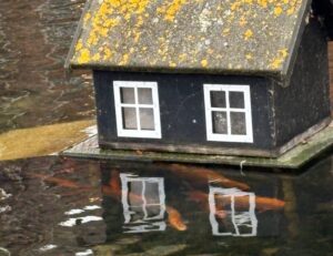 In Dänemark haben sogar die Fische ein Haus.