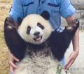 Huiiiiii! (Bild mitgenommen bei @jagbdt2025 auf Twitter.)