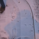 Vogelspuren im Schnee