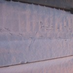 Vogelspuren im Schnee