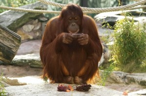 Künstler bei der Arbeit